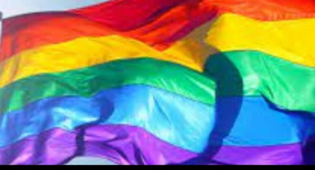 SC: Simple majority in House may legalise same-sex